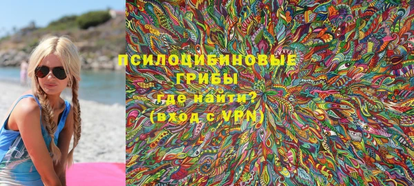 МДПВ Няндома